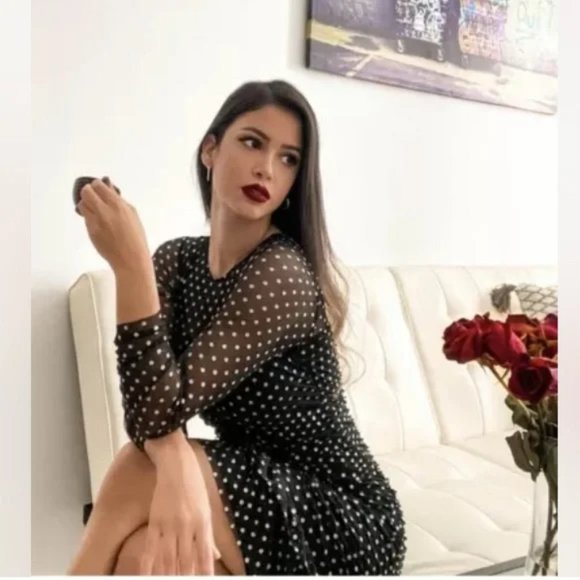 Zara Tulle Silver Dot Swiss Dress - Picture 3 of 16